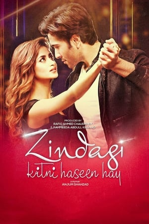 Zindagi Kitni Haseen Hay (2016) Pakistani Movie 480p HDRip Download Zindagi Kitni Haseen Hay (2016) Pakistani Movie 480p HDRip Download